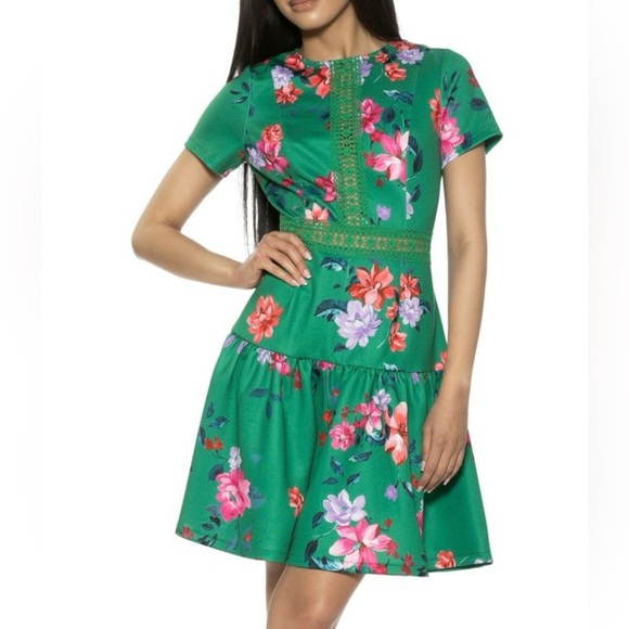 ALEXIA ADMOR | Alexa Green Floral Fit and Flare Mini Dress- Size 4 - Picture 1 of 6